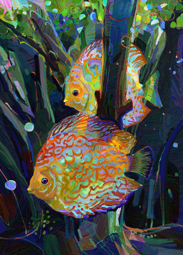 RainbowFish